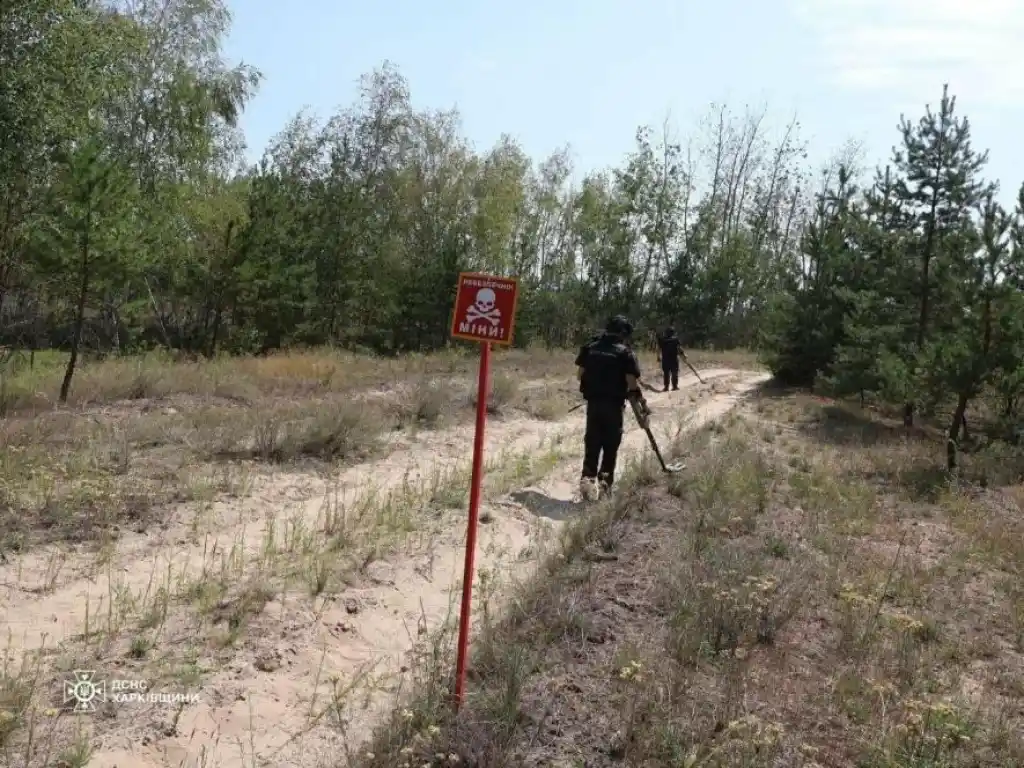 У Захарівці на Харківщині 19-річний хлопець постраждав від вибуху міни