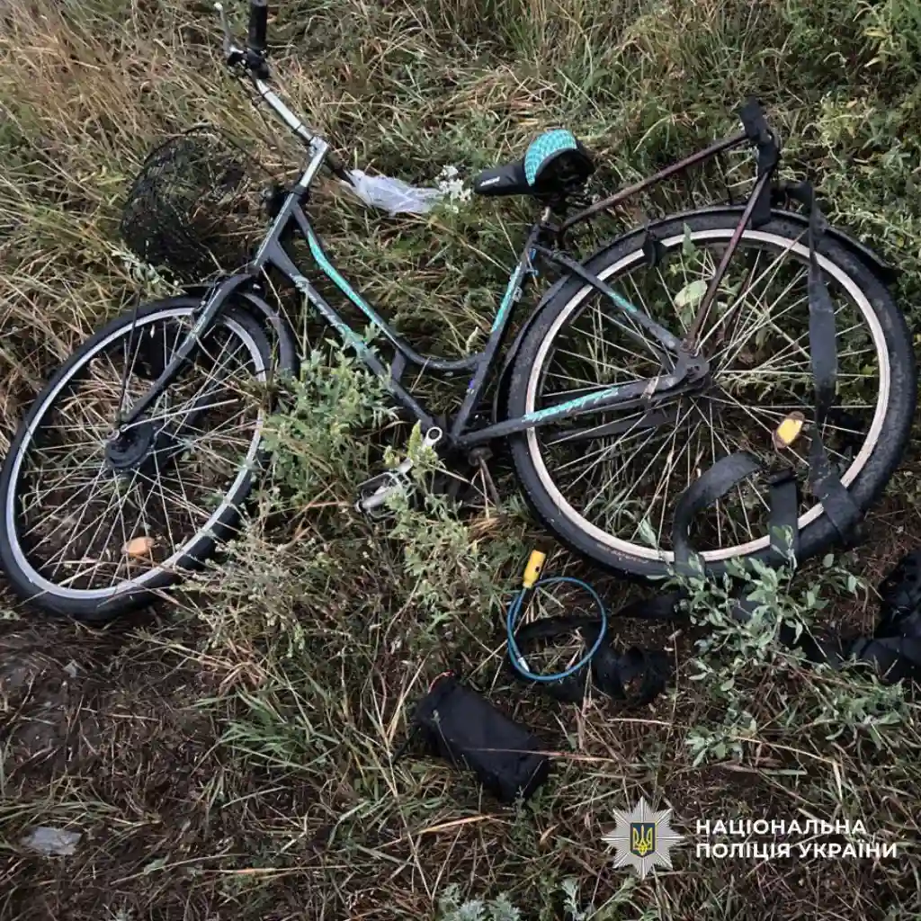 На Харківщині затримали водія, який смертельно збив велосипедиста та втік