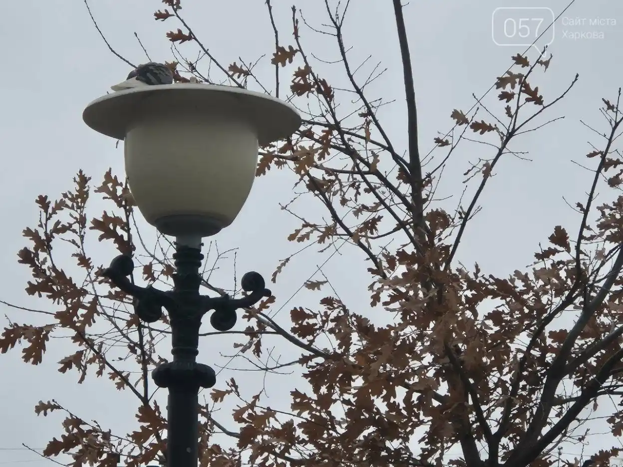 Погода в Харкові 11 листопада: дощовий день, підвищена вологість і поступове потепління