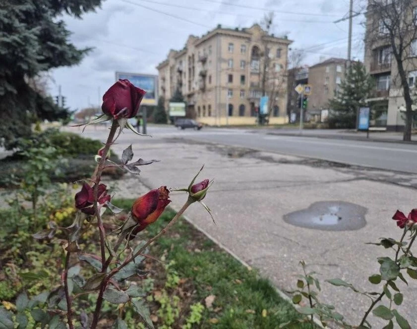 Харків зустрічає день під хмарами: як змінюватиметься погода 25 листопада