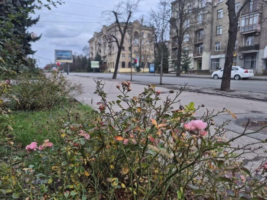 Харків зустрічає грудень під щільною хмарністю: що очікувати сьогодні