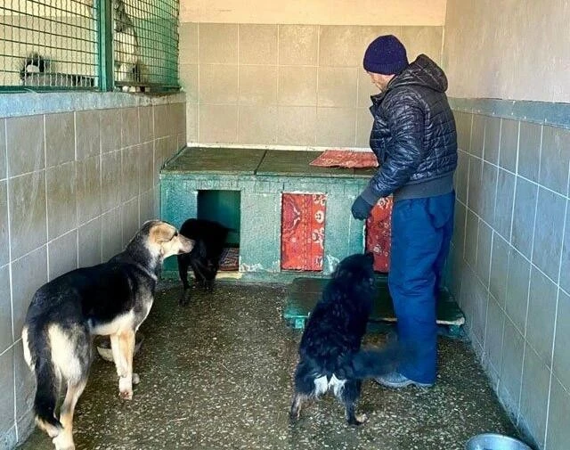 Тепло для притулку: харків’яни зібрали тонни речей для зими