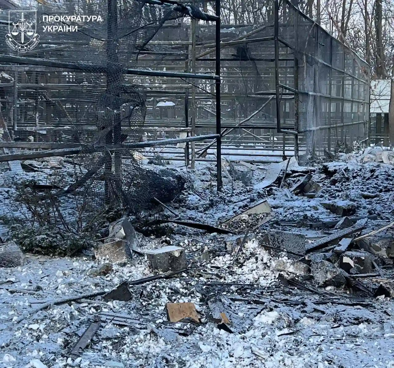 Світоліна об’єднується з Вінус Вільямс: несподіваний дует на турнірі в Окленді