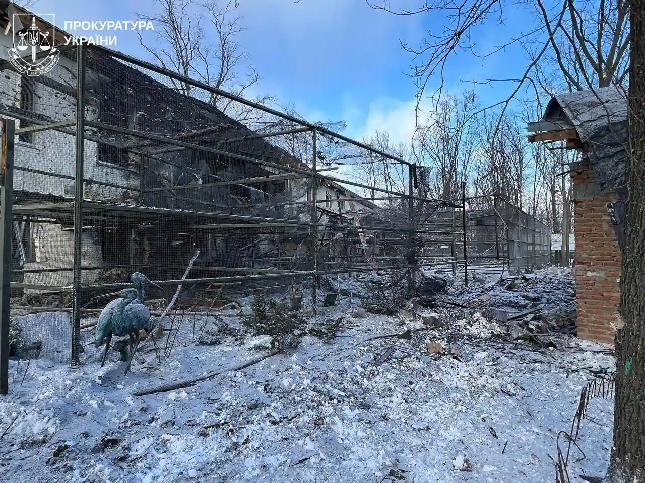 Світоліна об’єднується з Вінус Вільямс: несподіваний дует на турнірі в Окленді