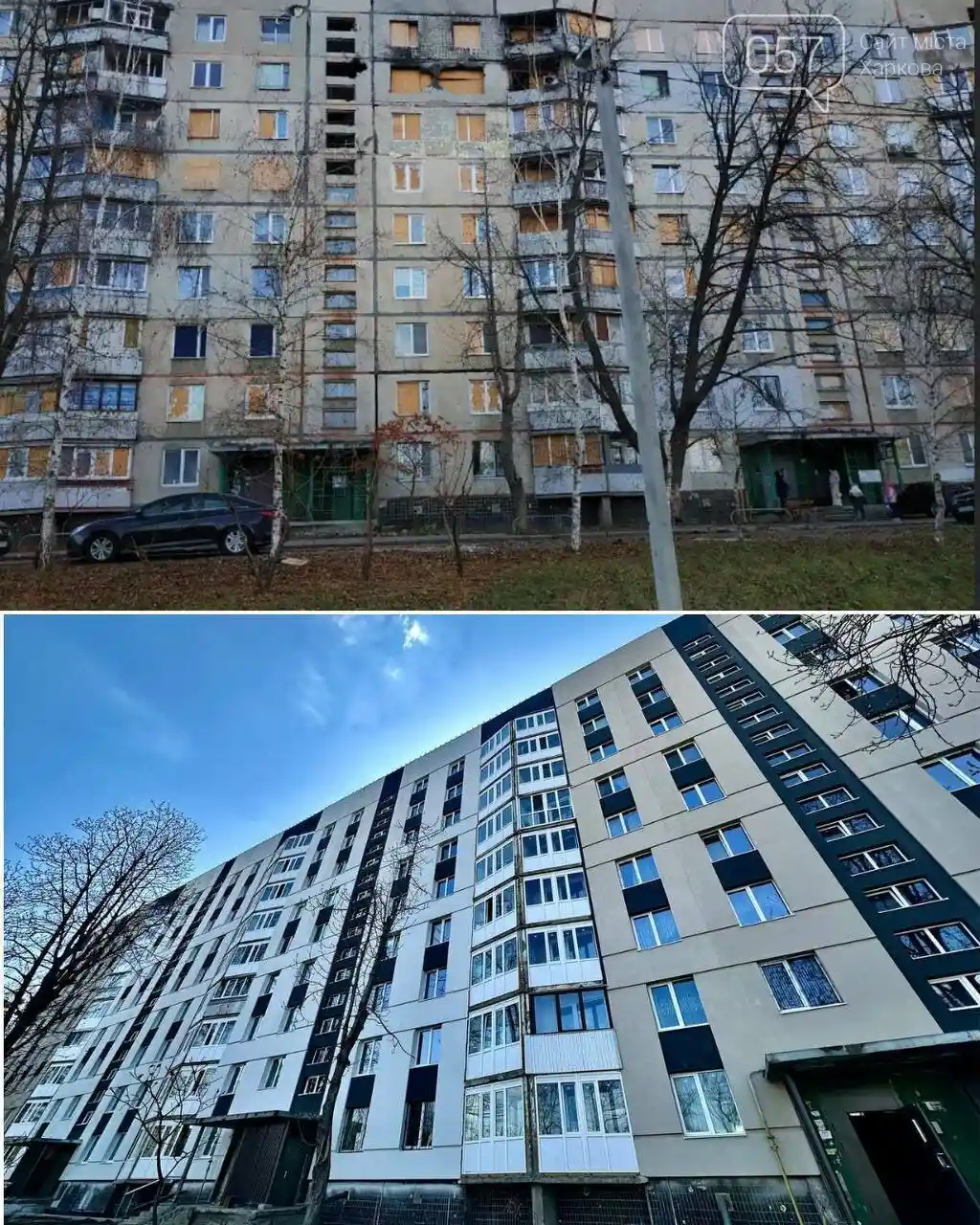 Переможний старт сезону: Світоліна з розгромним рахунком крокує до другого раунду в Окленді