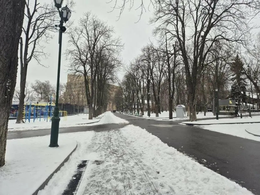 Від «Атома» до фронтових хронік: як українська Вікіпедія змінилася за роки війни