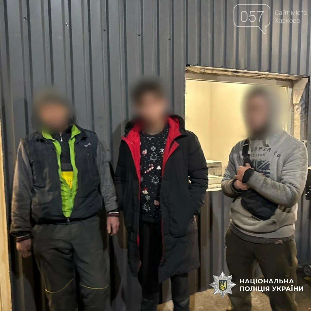 Харківські безпритульні собаки отримали сто светрів: тепло, турбота і шанс на дім