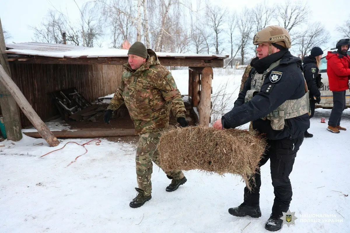 Харківщина посилює партнерство з Францією: нові перспективи для медицини та енергетики