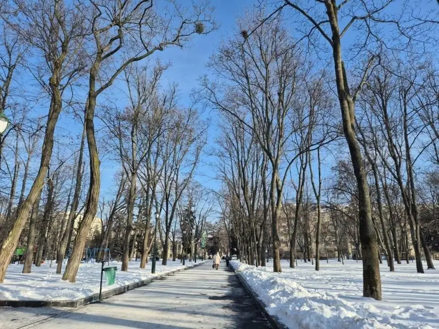 Скільки коштує зелений центр Харкова: підрахунки, які здивували місто