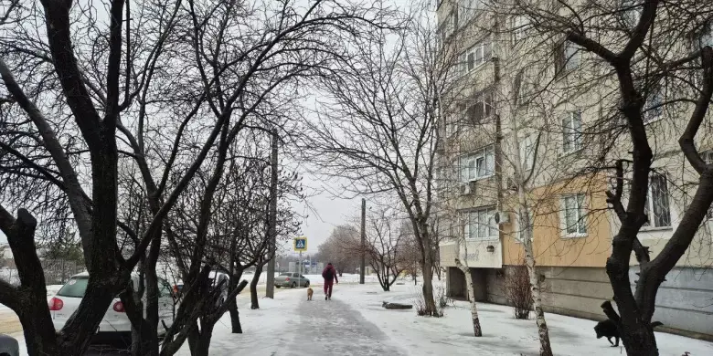 Мороз і сніг без перепочинку: якою буде погода в Харкові 20 лютого