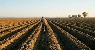 Дотації за загиблі посіви: аграрії мають встигнути подати заявки до кінця лютого