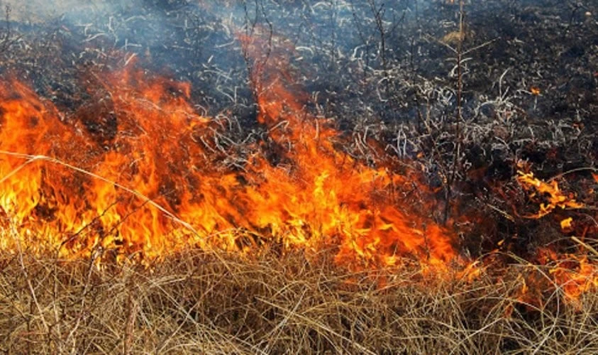 Весняні пожежі на Харківщині несуть нову загрозу – вогонь може спровокувати вибухи
