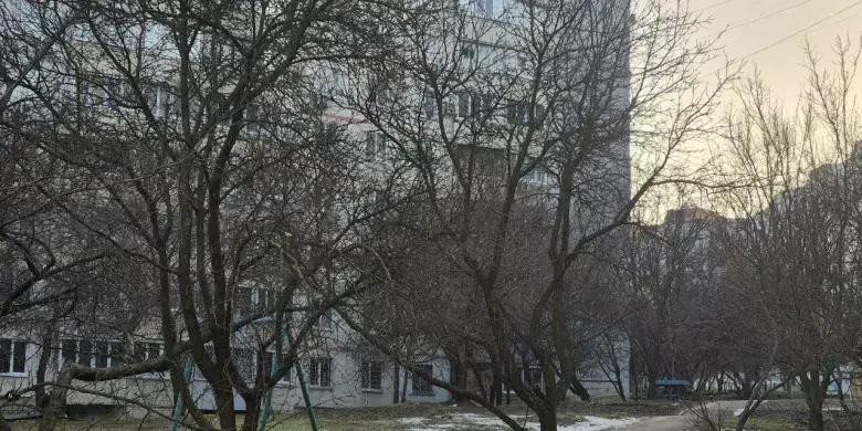 Погіршення погоди на Харківщині: туман, мокрий сніг і слизькі дороги
