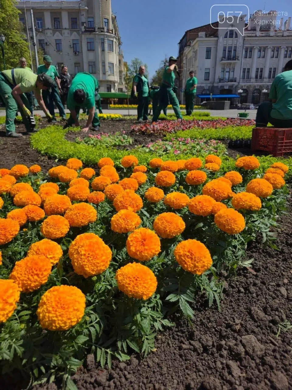 Нові верби та тисячі квітів: як озеленюють Харків навесні