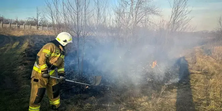 Критичний рівень загрози: на Харківщині можуть спалахнути ліси