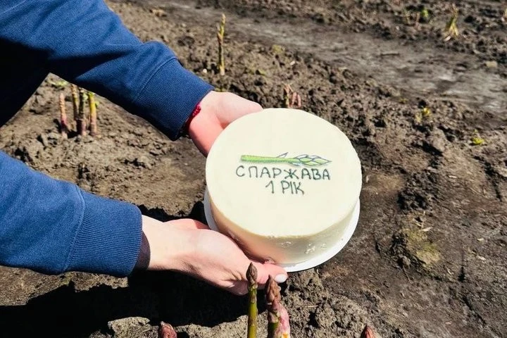 Від грантів до власної ниви: як харківська вчена зробила спаржу народним продуктом