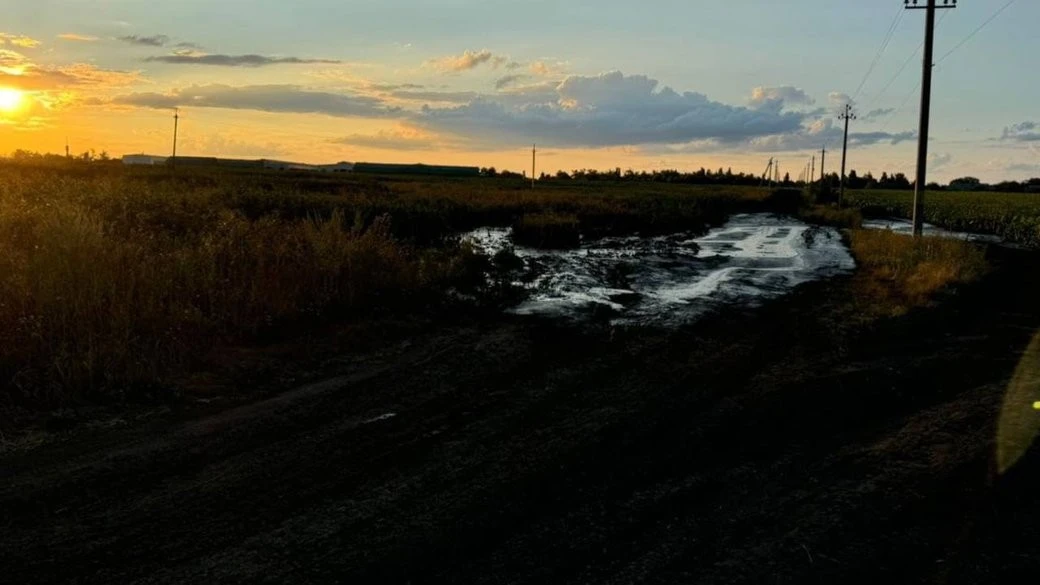 Екологічна катастрофа на Куп’янщині: агропідприємство два роки отруювало гноєм сільгоспугіддя