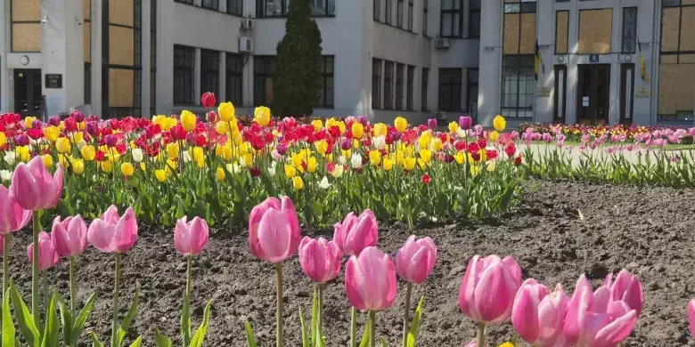 Аномалії минулого проти сирої сучасності: чим дивує погода в Харкові 26 травня