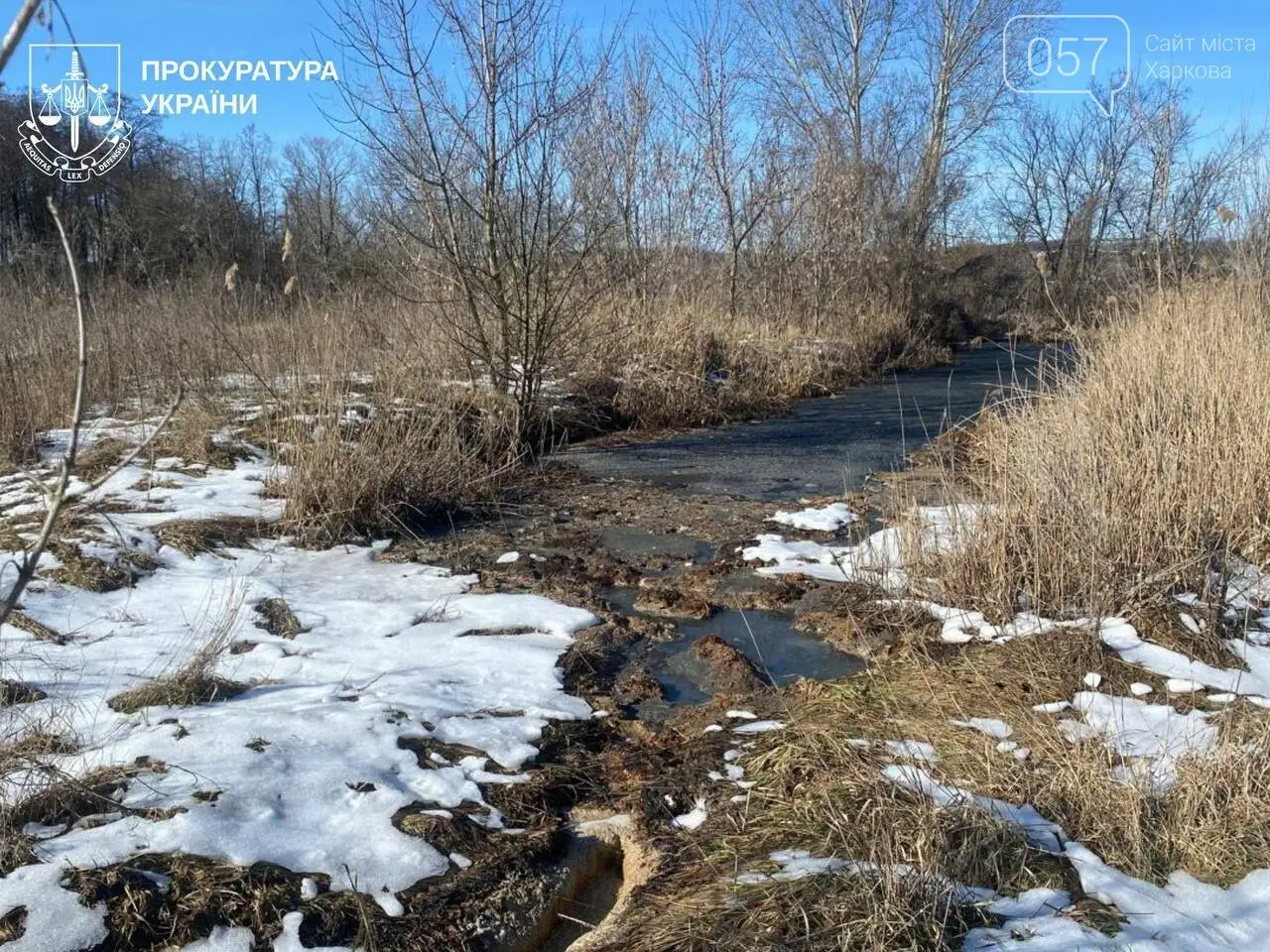 Екологічна катастрофа через нечистоти: на Харківщині судитимуть головного інженера комунального підприємства